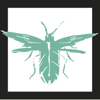 cucaracha-voladora