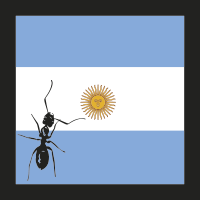 hormigas-argentina