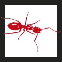 hormigas-rojas