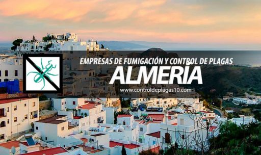 empresas de fumigacion y control de plagas almeria espana