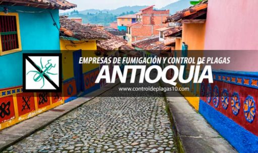 empresas de fumigacion y control de plagas antioquia colombia