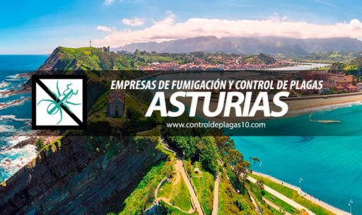 empresas de fumigacion y control de plagas asturias espana