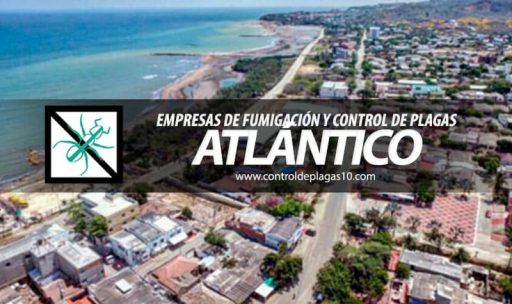 empresas de fumigacion y control de plagas atlantico colombia