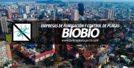 empresas de fumigacion y control de plagas biobio chile