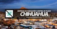 empresas de fumigacion y control de plagas chihuahua mexico