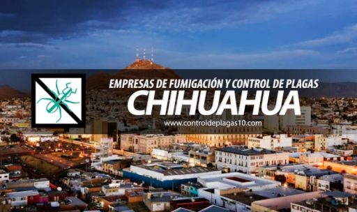 empresas de fumigacion y control de plagas chihuahua mexico