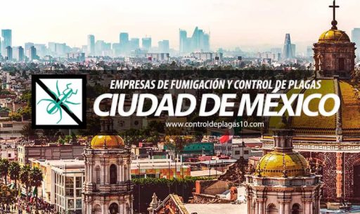 empresas de fumigacion y control de plagas ciudad de mexico mexico