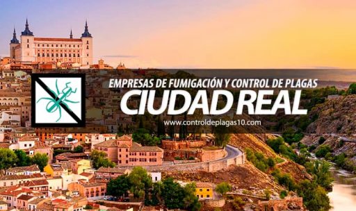 empresas de fumigacion y control de plagas ciudad real espana