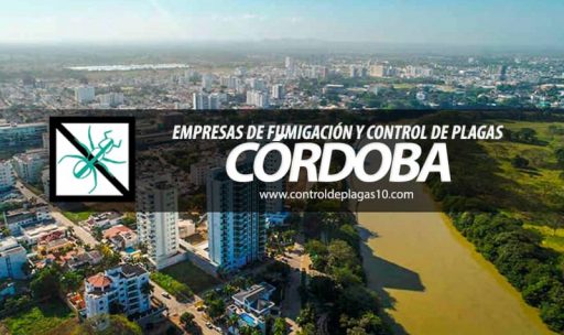 empresas de fumigacion y control de plagas cordoba colombia