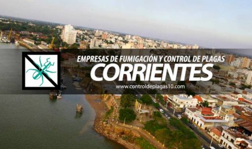 empresas de fumigacion y control de plagas corrientes argentina