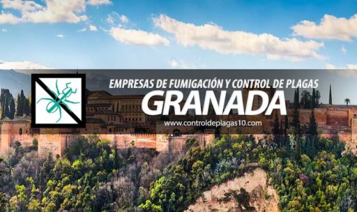 empresas de fumigacion y control de plagas granada espana