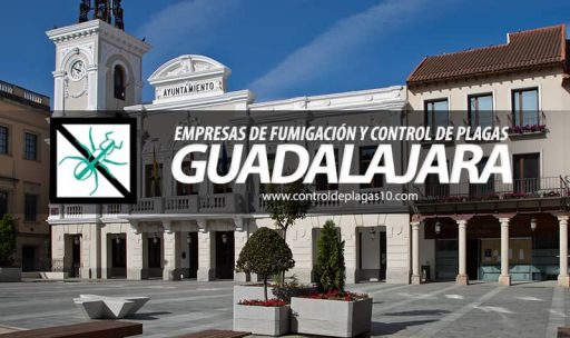 empresas de fumigacion y control de plagas guadalajara espana