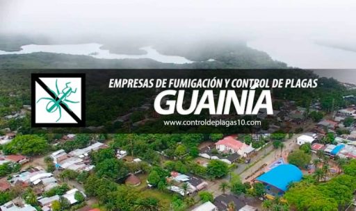 empresas de fumigacion y control de plagas guainia colombia