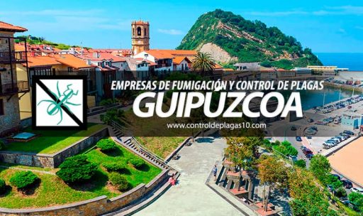 empresas de fumigacion y control de plagas guipuzcoa espana