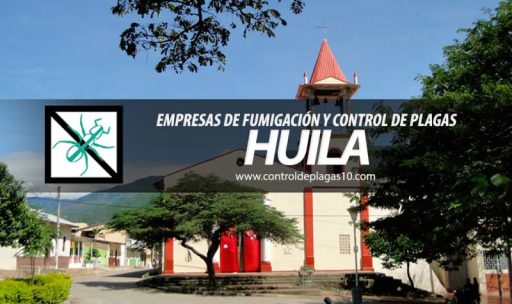 empresas de fumigacion y control de plagas huila colombia