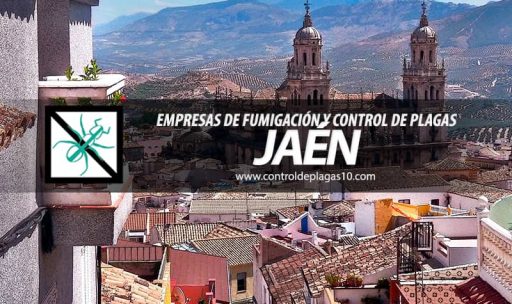 empresas de fumigacion y control de plagas jaen espana