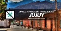 empresas de fumigacion y control de plagas jujuy argentina