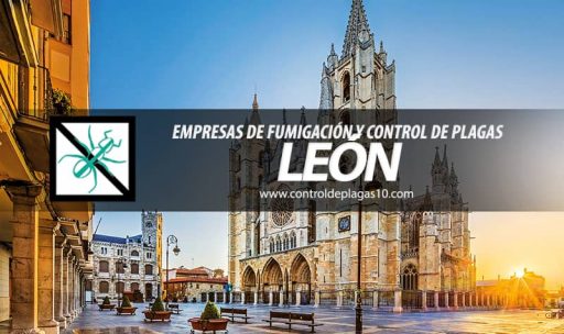 empresas de fumigacion y control de plagas leon espana
