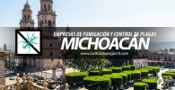 empresas de fumigacion y control de plagas michoacan mexico