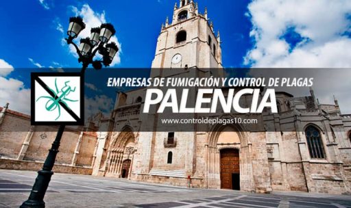empresas de fumigacion y control de plagas palencia espana