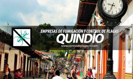 empresas de fumigacion y control de plagas quindio colombia