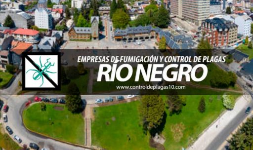 empresas de fumigacion y control de plagas rio negro argentina