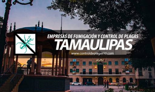 empresas de fumigacion y control de plagas tamaulipas mexico