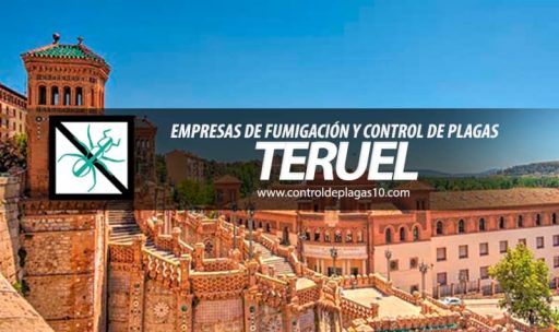 empresas de fumigacion y control de plagas teruel espana