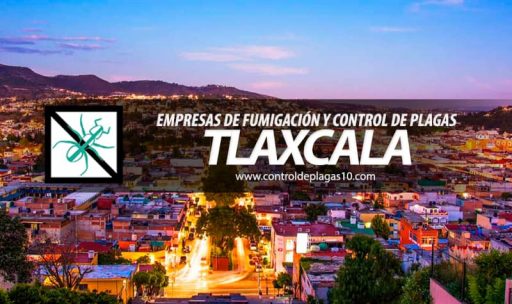 empresas de fumigacion y control de plagas tlaxcala mexico