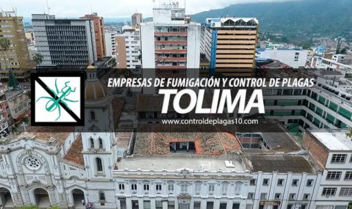 empresas de fumigacion y control de plagas tolima colombia