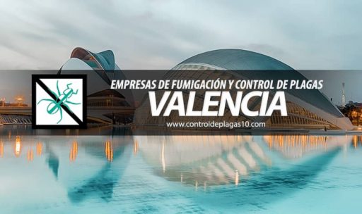 empresas de fumigacion y control de plagas valencia espana