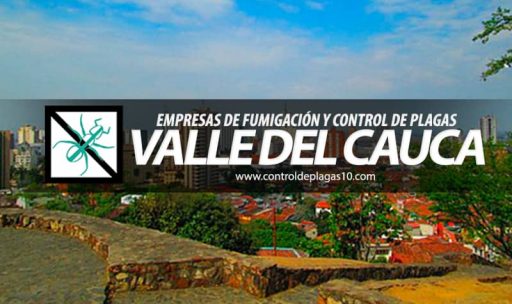 empresas de fumigacion y control de plagas valle del cauca colombia