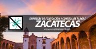 empresas de fumigacion y control de plagas zacatecas mexico