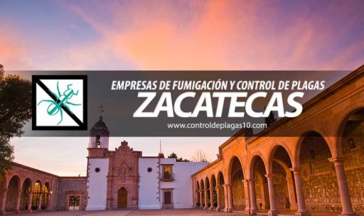 empresas de fumigacion y control de plagas zacatecas mexico