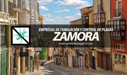 empresas de fumigacion y control de plagas zamora espana