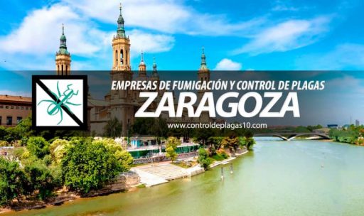 empresas de fumigacion y control de plagas zaragoza espana